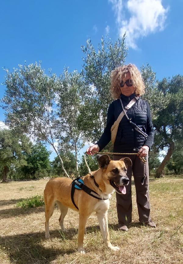 Pita Cerca Famiglia.  Foto 7